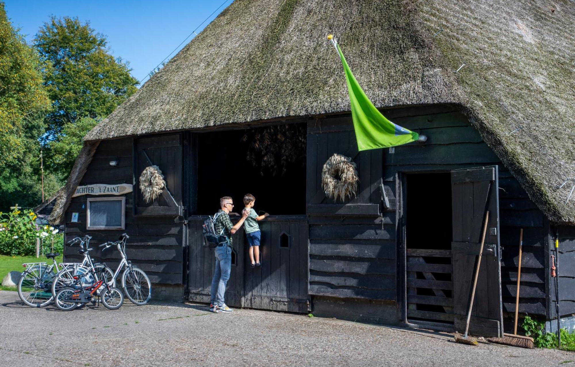 Camping De Bosrand Spier Eksteriør billede